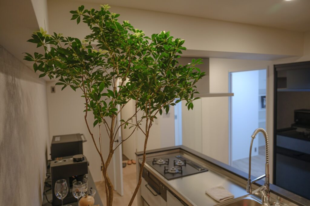 トップ物件画像